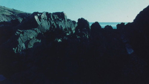 Portrait of Carlos Vilaro