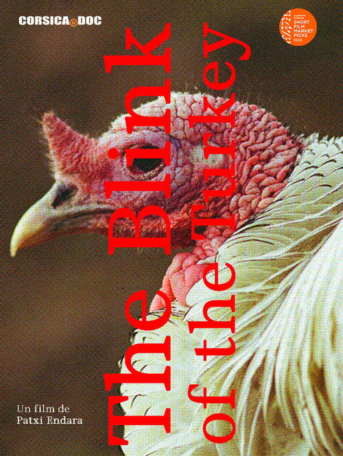 The blink of the turkey