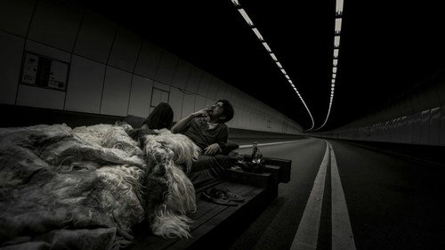 Sons of the Neon Night