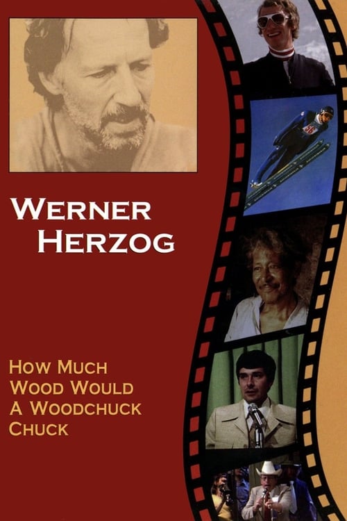 How Much Wood Would a Woodchuck Chuck: Beobachtungen zu einer neuen Sprache 1976