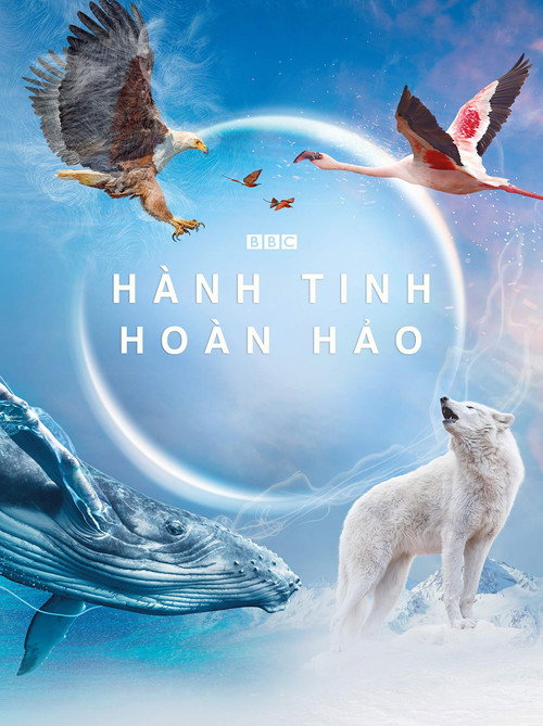 Hành Tinh Hoàn Hảo: Season 1 poster