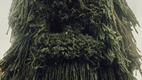 Trolsk still