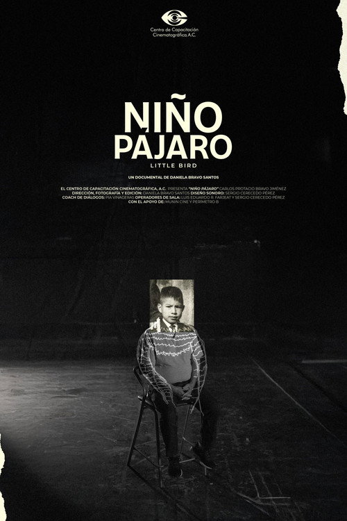 Niño pájaro