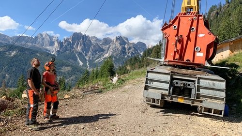Poster della serie Undercut: l'oro di legno