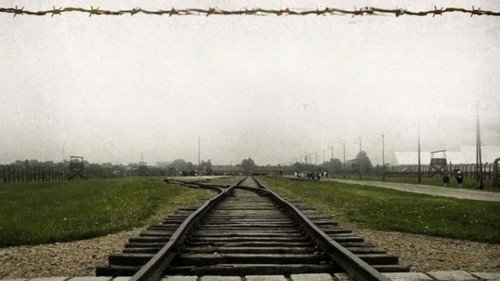 Beyond Freedom — The Life of Viktor Frankl