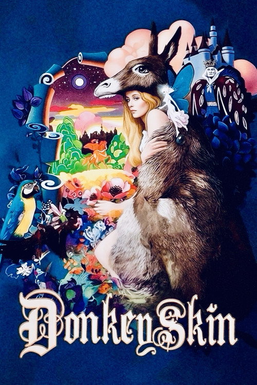 Donkey Skin poster