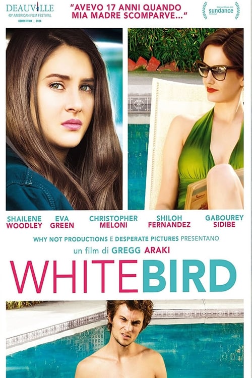 White Bird in a Blizzard