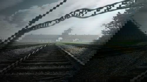 L'Histoire Vraie Du Tatoueur D'Auschwitz (2025)