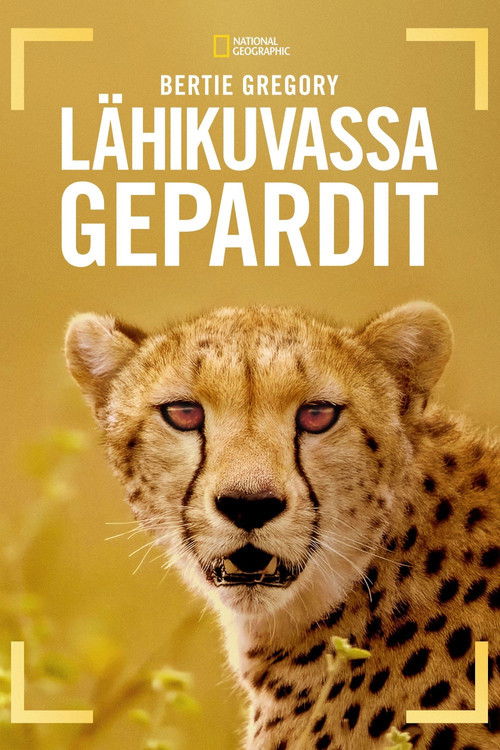 Cheetahs Up Close with Bertie Gregory poster