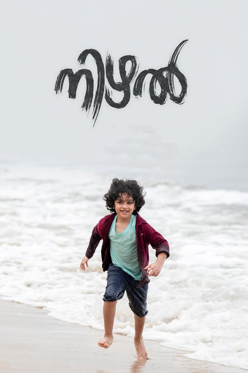 Nizhal poster
