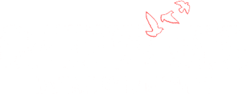 IDNMovie | Chidiya Udd