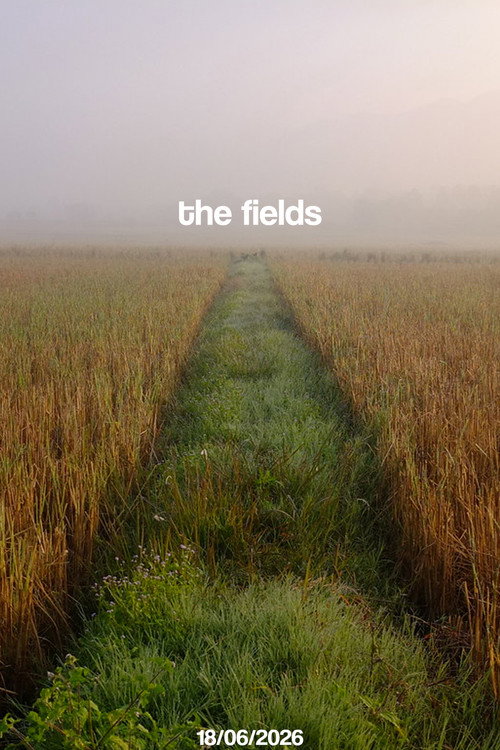 the fields