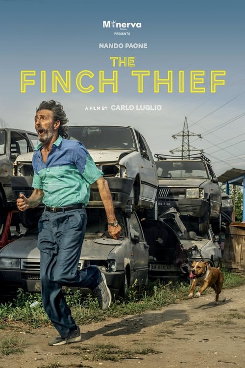 The Finch Thief