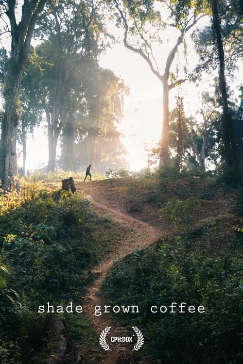 Shade Grown Coffee