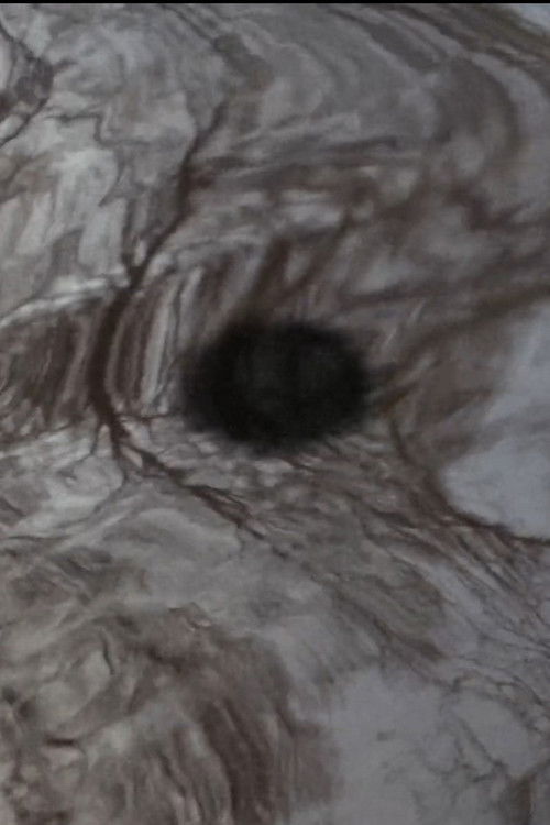 Dans la poche de l'univers