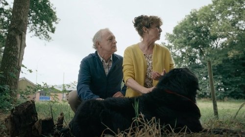 Image de l'épisode 15