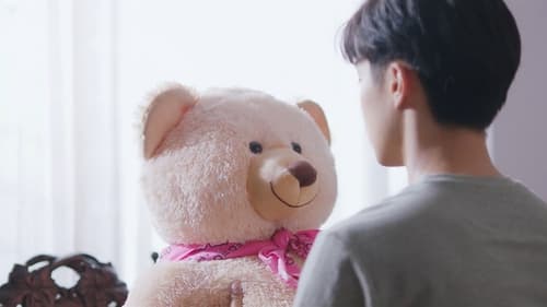 Poster della serie The Miracle of Teddy Bear