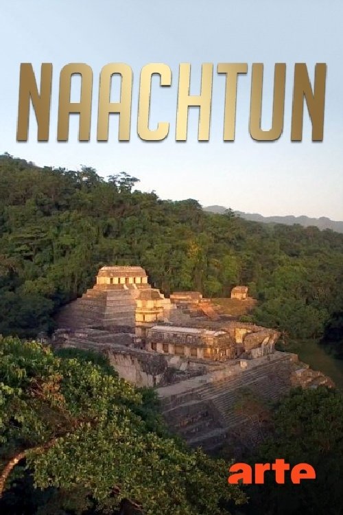 Naachtun : la cité maya oubliée movie poster player