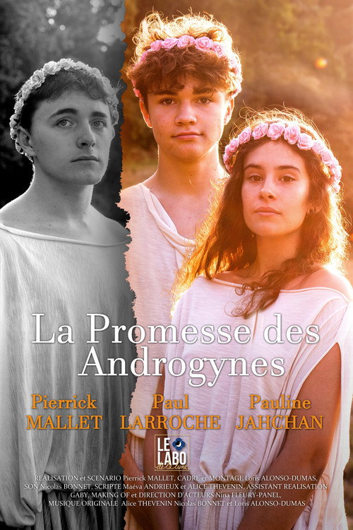 Póster oficial de La Promesse des Androgynes (2020) - Romance