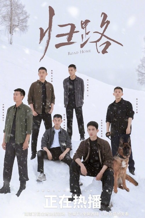 Posters