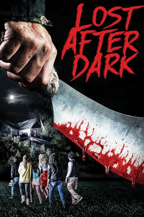 Lost After Dark movie poster player