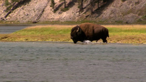 Secret Yellowstone