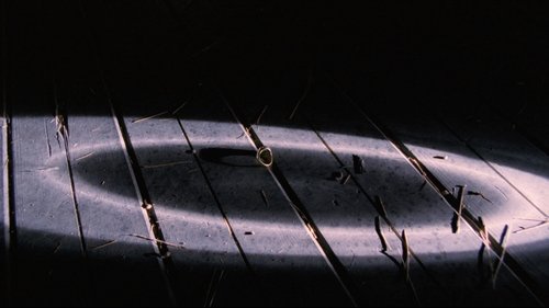Backdrops