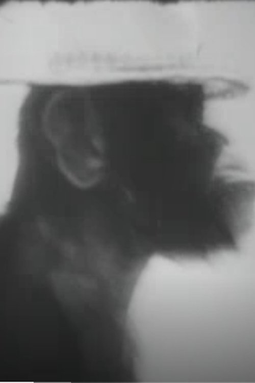 Nonton film Chimp's Jamboree (1970) terbaru sub indo Nonton film Chimp's Jamboree (1970) terbaru sub indo