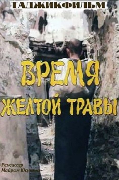 Mavsimi Alafkhoi Zard movie poster player