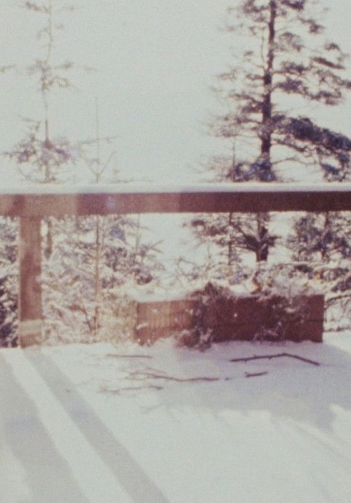 Home for Christmas poster