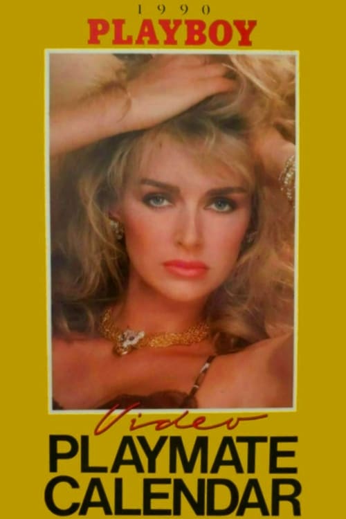 Playboy Video Playmate Calendar 1990 1989