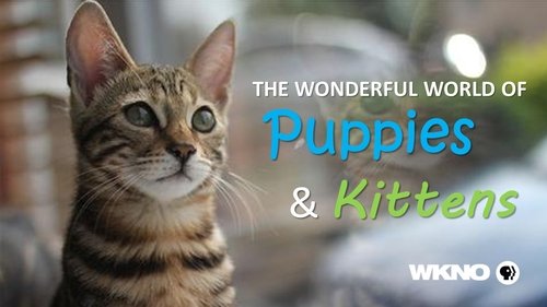 The Wonderful World of Puppies and Kittens
