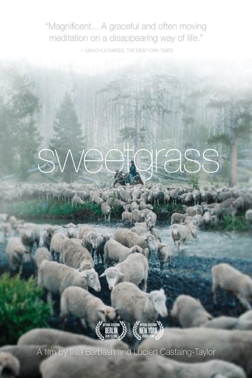 Grootschalige poster van Sweetgrass