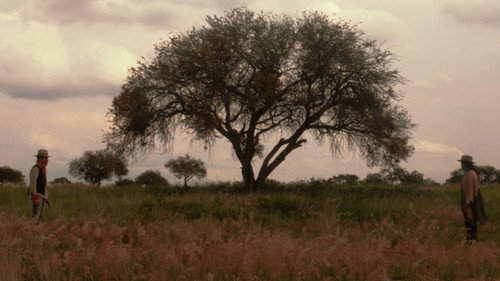 Una tarde en el parque