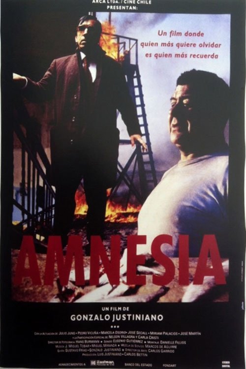 Amnesia movie poster player