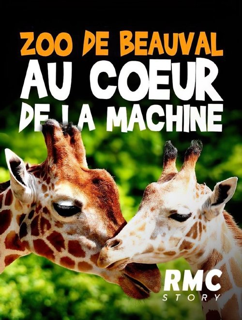Zoo de Beauval : Au cœur de la machine (2020) poster