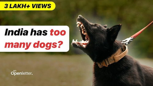 Why Killing  Dogs is NOT the SOLUTION