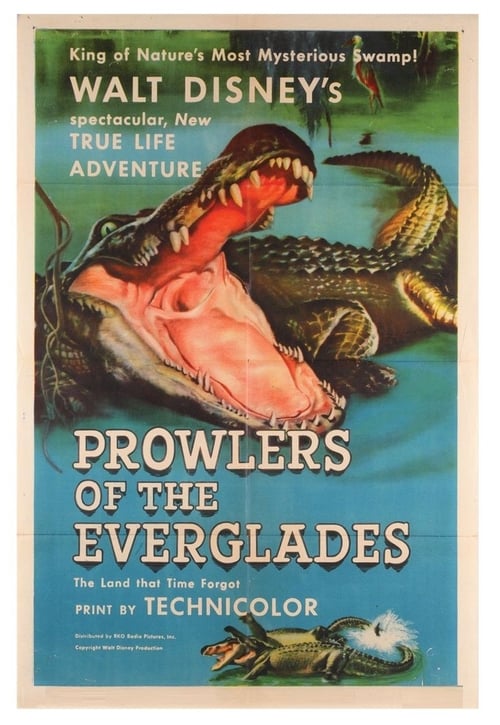 Prowlers of the Everglades 1953
