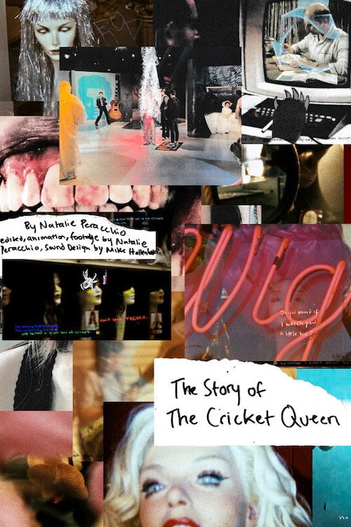 The Story of the Cricket Queen poster