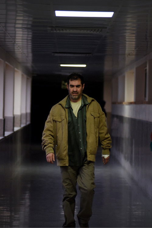 My Daughter's Hair poster