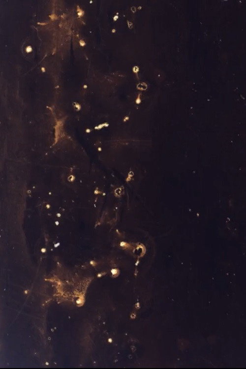 The End of the World