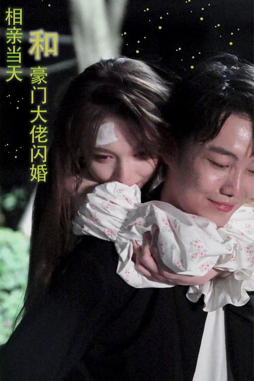 相亲当天和豪门大佬闪婚了