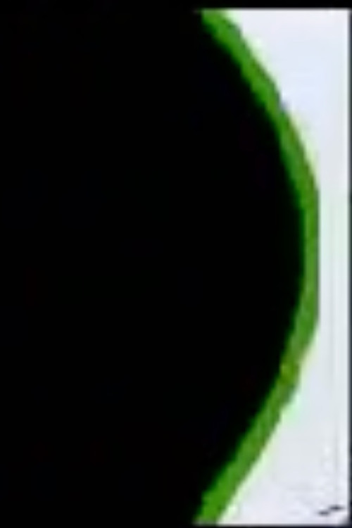 Sketch del fotográfo Romualdo García