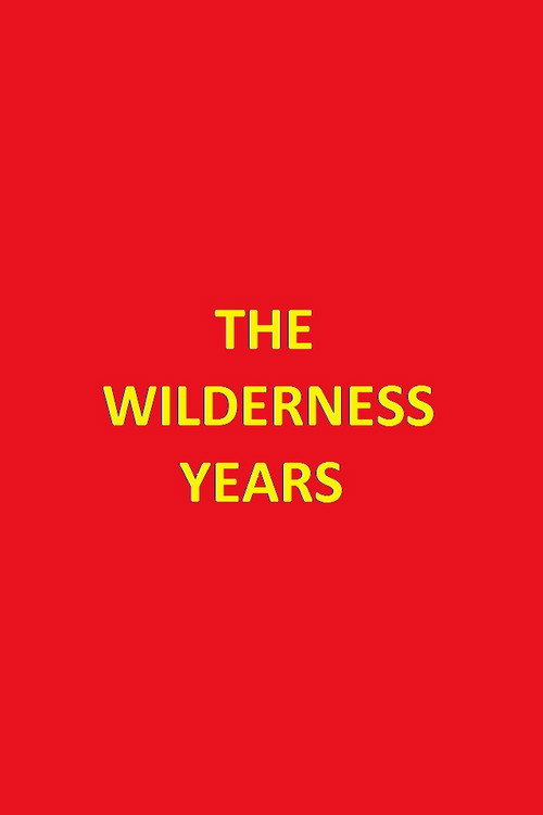 The Wilderness Years