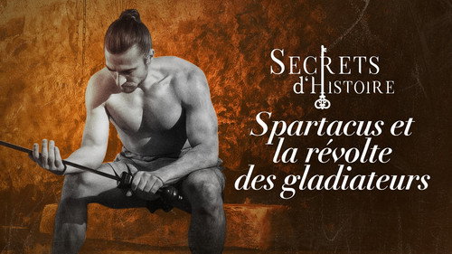 Image Spartacus et la révolte des gladiateurs