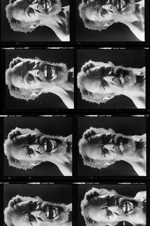 JANU – A fotografia como movimento