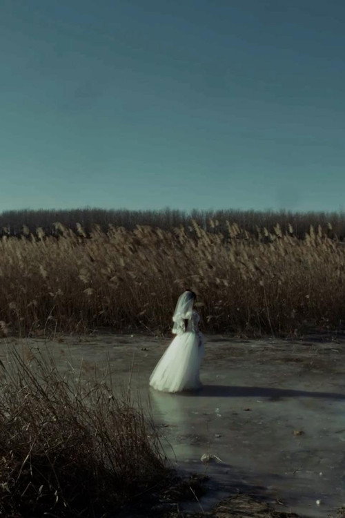 Her Wedding