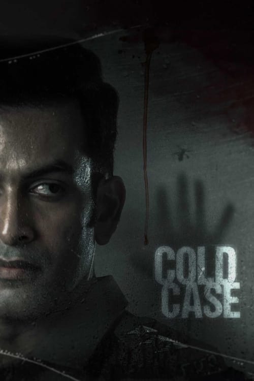 undefined ( Cold Case )