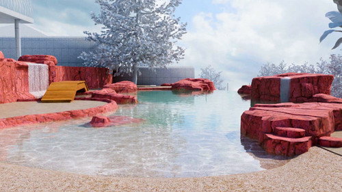 Image Rénovation de lagon spectaculaire dans le sud