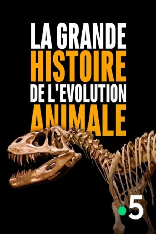 La grande histoire de l'évolution animale movie poster player